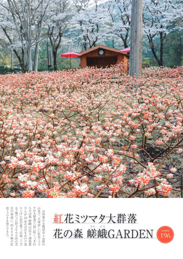 生活応援情報マガジン トチペ 2023年03月号